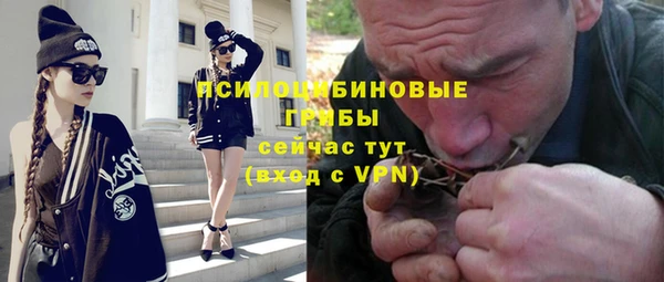 дживик Армянск