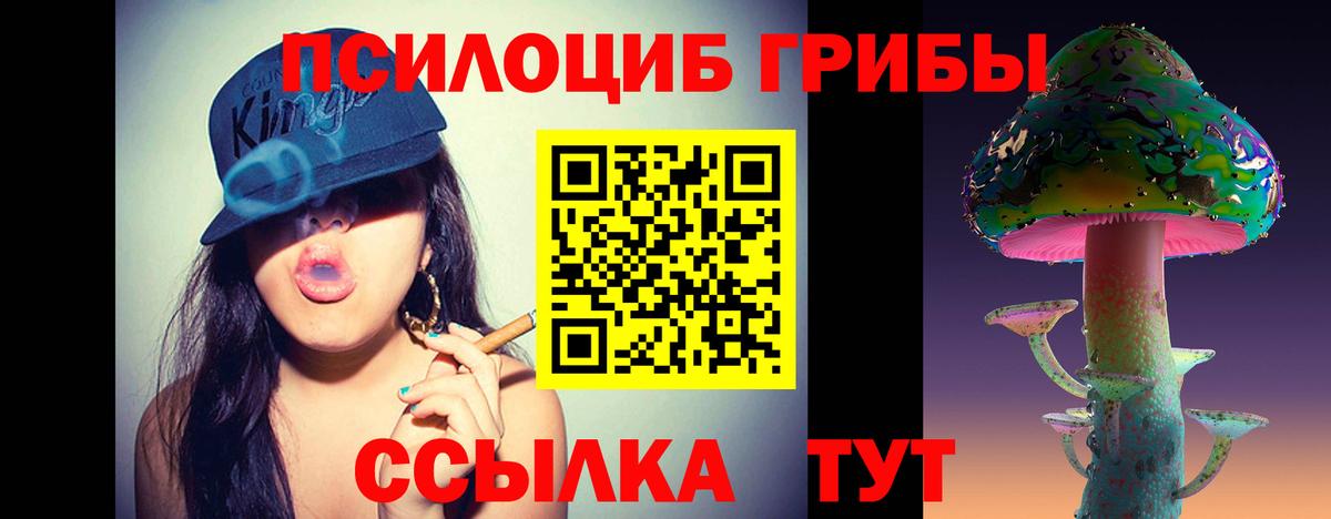 Псилоцибиновые грибы прущие грибы Елабуга