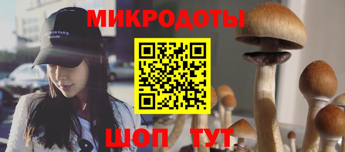 Меф Елабуга